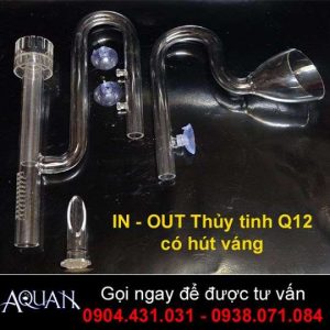 IN-OUT Thủy Tinh Ống 12