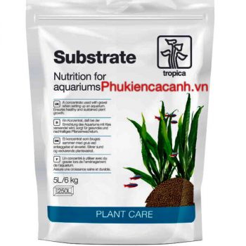 Cốt nền Tropica Substrate