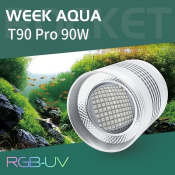 Đèn Week Aqua T90 Pro